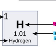 Biology 1308- Exam 1