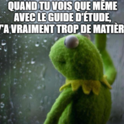 DMV1103 - Physiologie du système digestif