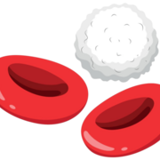 Immune and Hematological Disorders' Pathophysiology