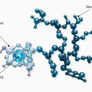 Généralité Transformation Alpha