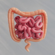 MMD 1111 - GASTRO FINAL