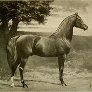 Art History - Renaissance 12th - 14th century