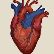 Fisiopatologia Cardio
