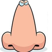 ENT Anatomy Diagrams