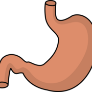 PHA-1023 Digestif  Maya