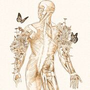 Fisiopatologia Especial