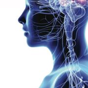 LGS A-Level AQA Psychology