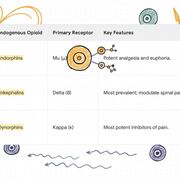 Advanced Pharmacology