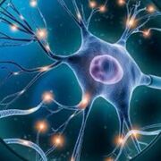 Biological Psychology