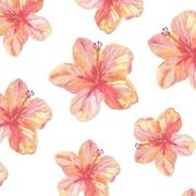 Otorrinolaringología