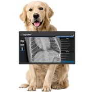 Radiología - Examen 2