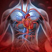 Patofysiologi, Del 1