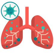 PHA-1024 - EXAMEN 1 Maya