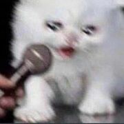 NETSEC - Network Security