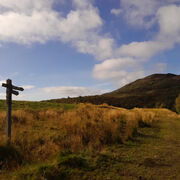 History Paper 2 (mine)