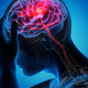 Neuro Anatomy and Physiology