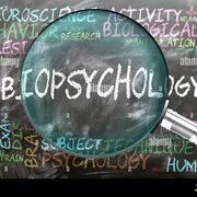 P2: Biopsychology