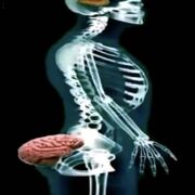 Biological psychology