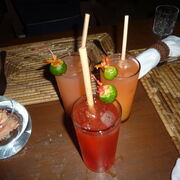 Business Management HL