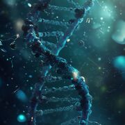 BIO 2.3 Nucleotides And Nucleic Acids