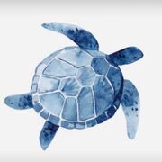 Year 11 History - Northern Ireland