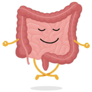 VM 525: Digestive System I