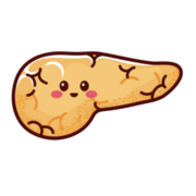 VM 527: Endocrine System I