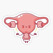 VM 528: Reproductive System I