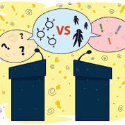 P3: Issues and Debates