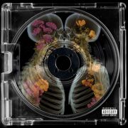 saanvi- bio side ho (nora)