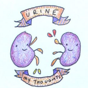 DMV1104 - Physiologie rénale