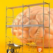 P3 - Cognition And Development