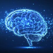 Módulo 402 - Distúrbios Sensoriais, Motores e de Consciência