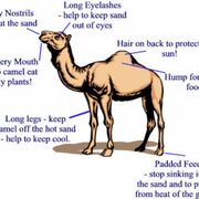 Bio 4 Biodiversity And Natural Resources