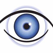 2MB Ophthalmology simple