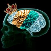 Neurologia Ordinario