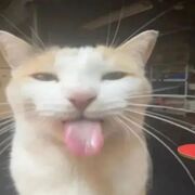 DEVELOPMENTAL PSYCHOLOGY