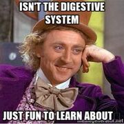 MED-1207 RÉVISION EXAMEN 1