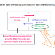 Mumu: PHA-1022 - neuro hrissa