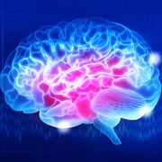 Human Bio - Neurobiology