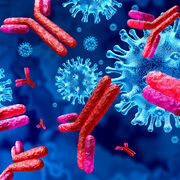 Human Bio - Immunology