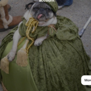 Units of measurements