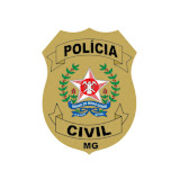 ML Noções de Direito constitucional