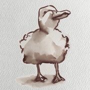 German Lessons w Reb