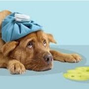 Enfermería Examen 3