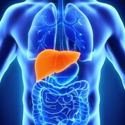 MED-1207 - Système digestif: Examen 2