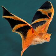 Social Influence - Psychology Aqa