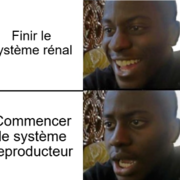 DMV1104 - Physio reproduction