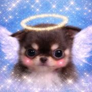 Anatomy Test 2: quiz 4 concept guide