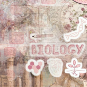 Year 7 - Science Assessment Flashcards